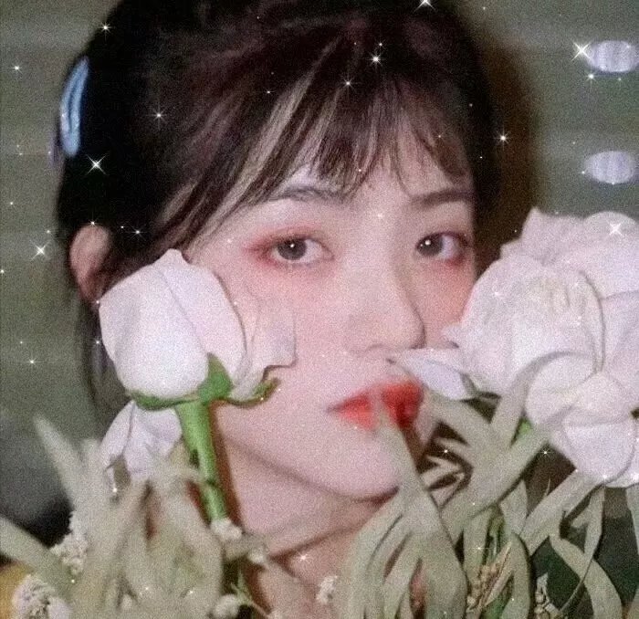 卡琳的面孔