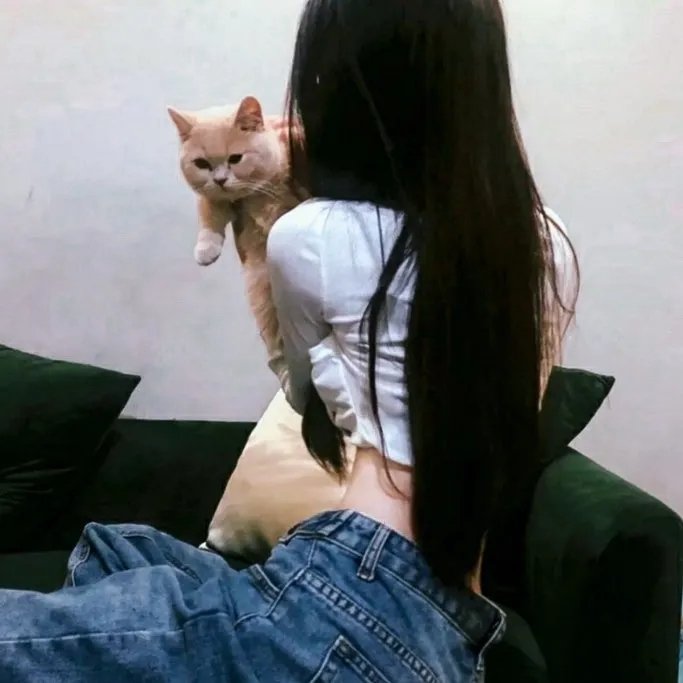 零度战姬第二季
